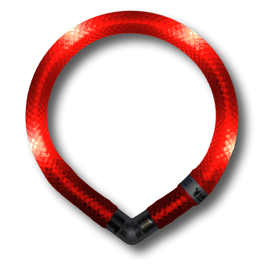 LEUCHTIE Mini collare LED per cane in Rosso — impermeabile, con sensore di movimento, fatto a mano in Germania