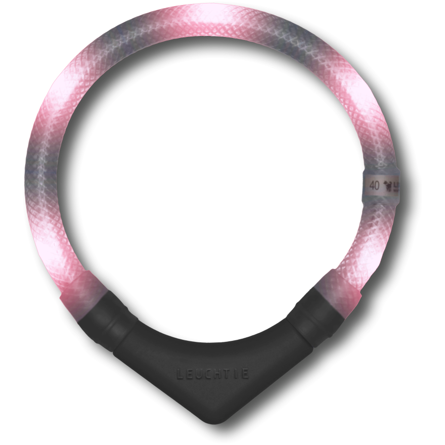LEUCHTIE Plus collier LED pour chien en Blush — étanche, avec capteur de mouvement, fait main en Allemagne