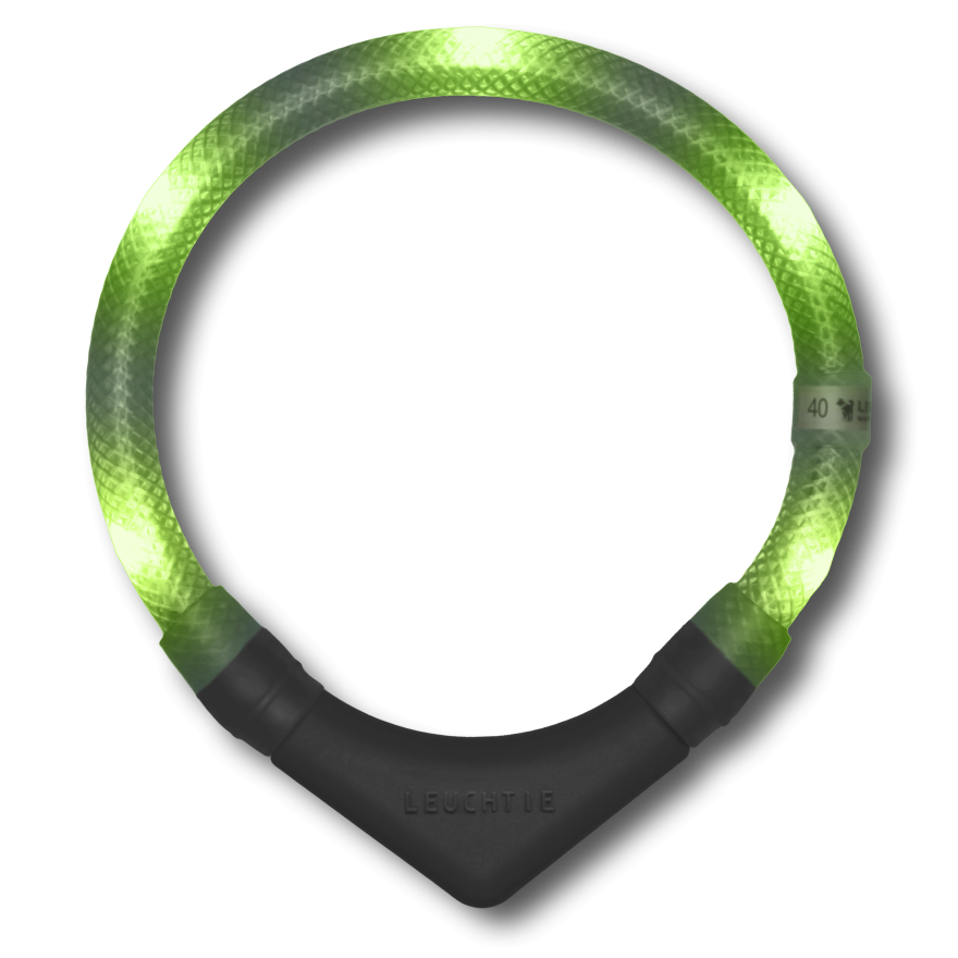 LEUCHTIE Plus collier LED pour chien en Lime — étanche, avec capteur de mouvement, fait main en Allemagne