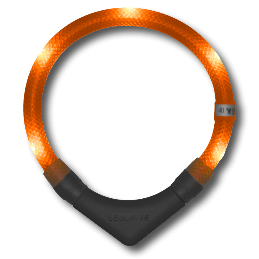 LEUCHTIE Plus collier LED pour chien en Orange Coucher — étanche, avec capteur de mouvement, fait main en Allemagne