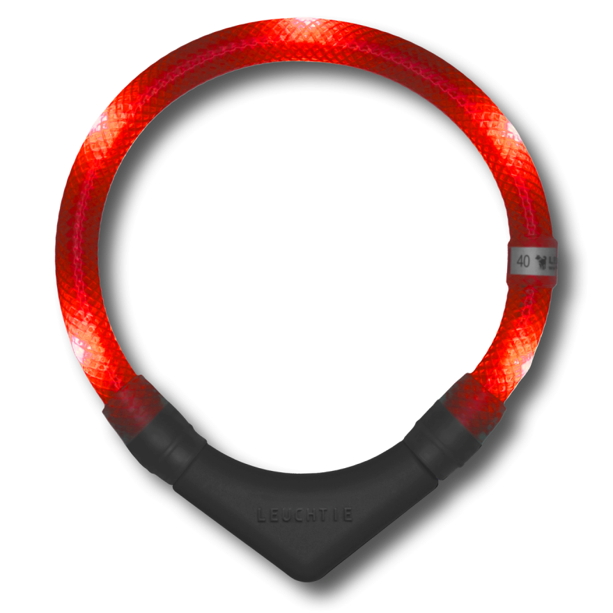 LEUCHTIE Plus collier LED pour chien en Rouge — étanche, avec capteur de mouvement, fait main en Allemagne
