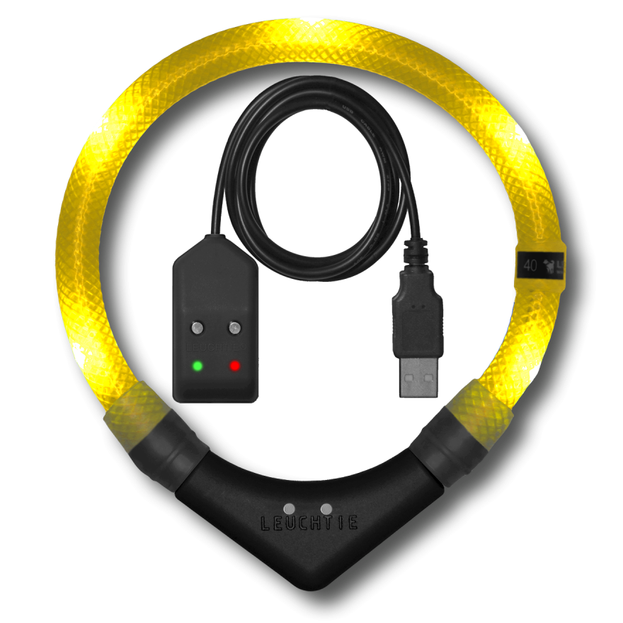 LEUCHTIE Easy Charge LED-Halsband für Hunde in Sonnengelb — wasserdicht, mit Bewegungssensor, Handarbeit aus Deutschland
