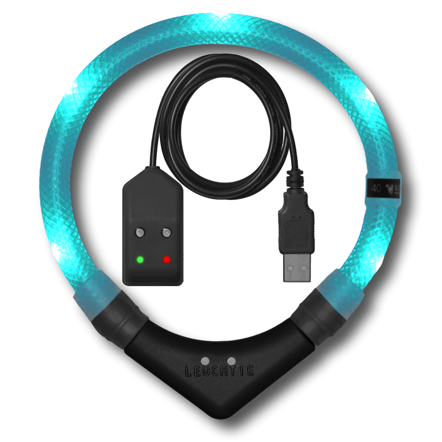 LEUCHTIE Easy Charge LED-Halsband für Hunde in Türkis — wasserdicht, mit Bewegungssensor, Handarbeit aus Deutschland