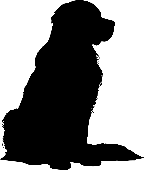 Car-Sticker "Chesapeake Bay Retriever"