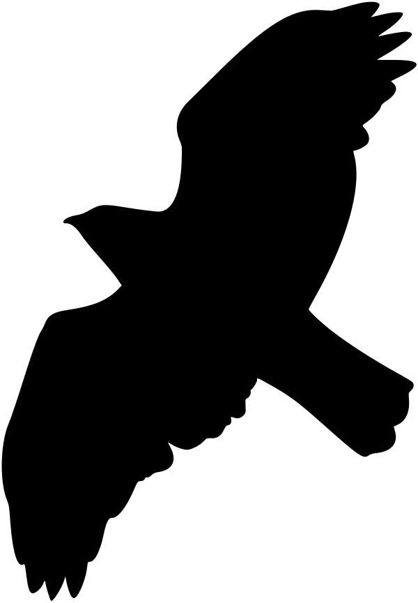 Car-Sticker "Common Buzzard"