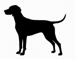 Car-Sticker "Vizsla Kurzhaar 1"