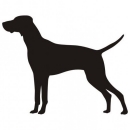Car-Sticker "Vizsla Kurzhaar 2"