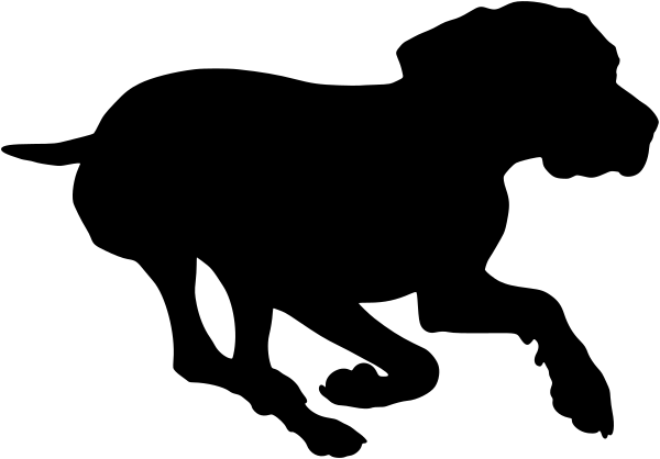 Car-Sticker "German Wirehaired Pointer"