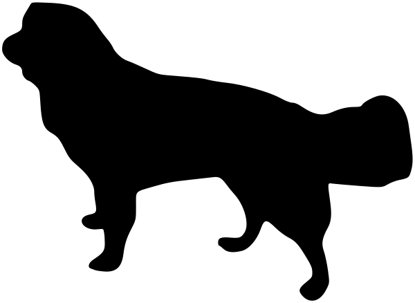 Car-Sticker "Kooikerhondje"