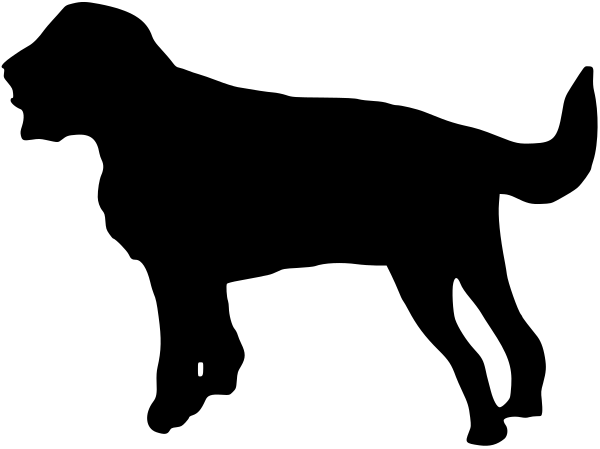 Car-Sticker "Labradoodle"