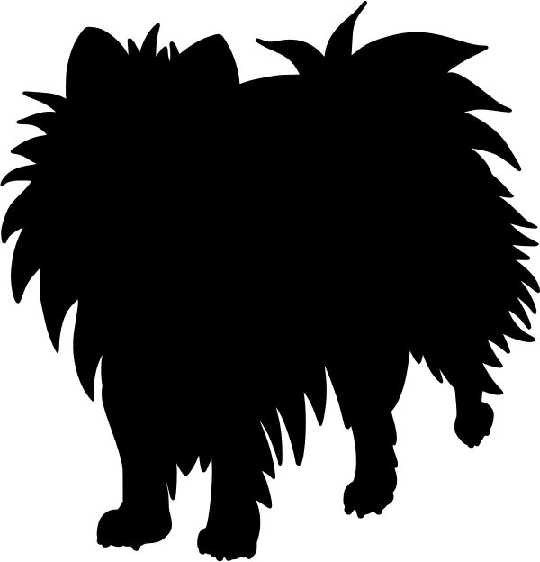 Car-Sticker "Pomeranian"