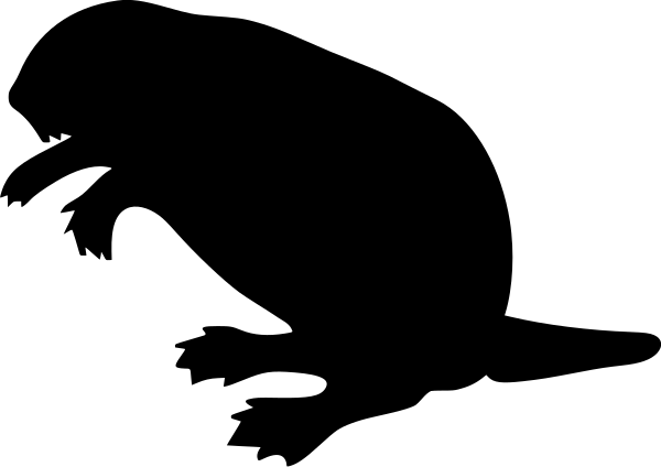 Car-Sticker "Beaver"