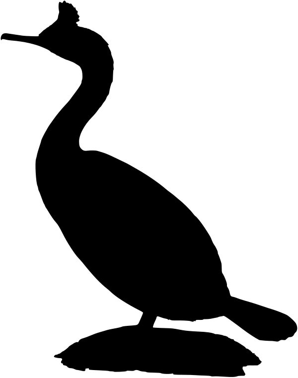 Car-Sticker "Aalscholver"